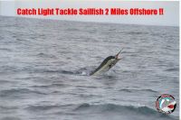 sailfish_jump_133.jpg