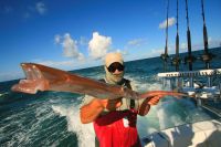 ANOTHER_RARE_MONSTER_TRUMPET_FISH.jpg