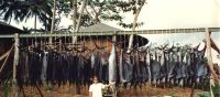 MARK_THE_SHARK_in_the_JUNGLE_OF_BOM_BOM_with_RECORD_49_sailfish.jpg