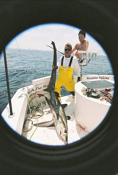 MARK THE SHARK AND JUVENILE LONGTAIL BEFORE RELEASE