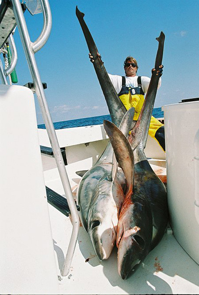 MARK THE SHARK and 2 OFFSHORE THRESHERS