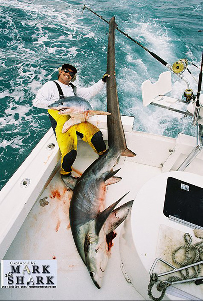 MARK and BIG THRESHER & MAKO