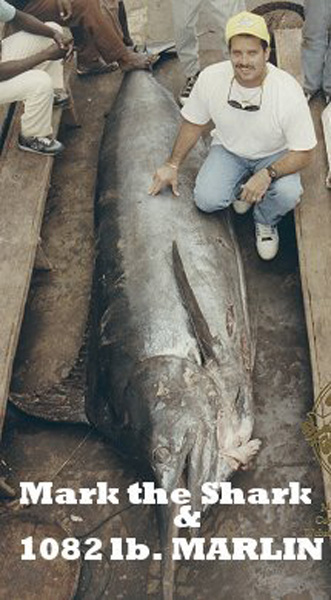 Mark the SHARK & african blue marlin