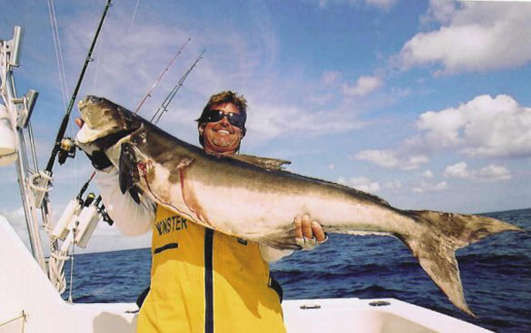 Mark the SHARK & giant cobia