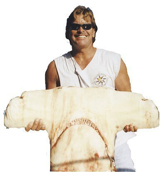 Mark the Shark & great  HAMMERHEAD