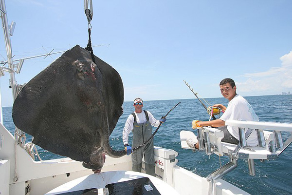 ANTHONY AND GIANT RAY