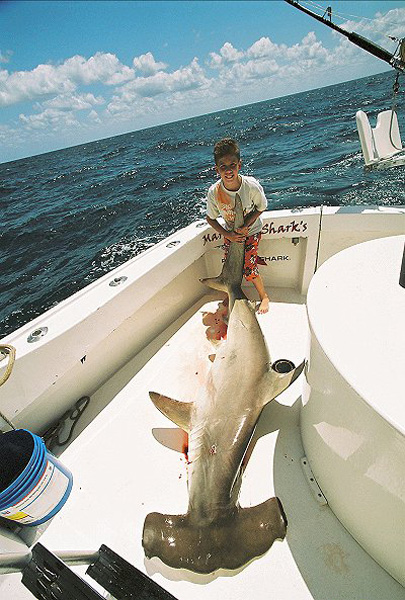 IVAN JR WITH GOLDEN HAMMERHEAD