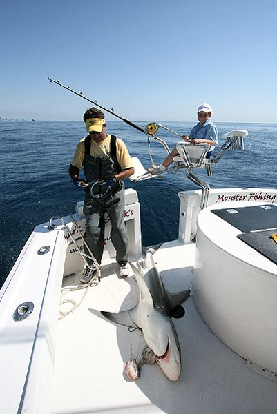 JR ANGLER AND REEF SHARK