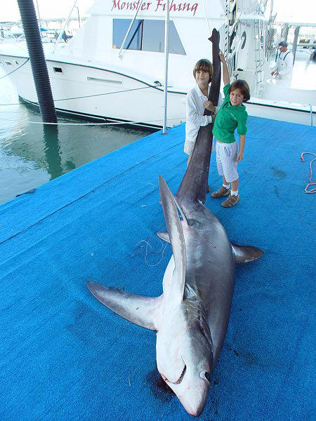 KIDS & MONSTER THRESHER