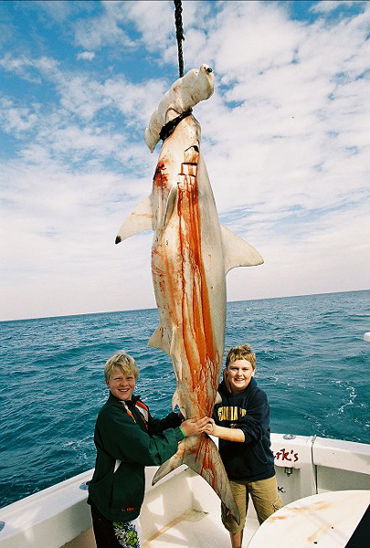 MICHAEL and DREW with MONSTER HAMMERHEAD SHARK