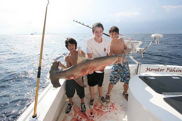 NICE HAMMERHEAD WITH jr. ANGLERS