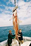 MICHAEL and DREW with MONSTER HAMMERHEAD SHARK