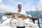 NICE COBIA