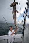 NICE HAMMERHEAD AND KID