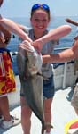 amberjack