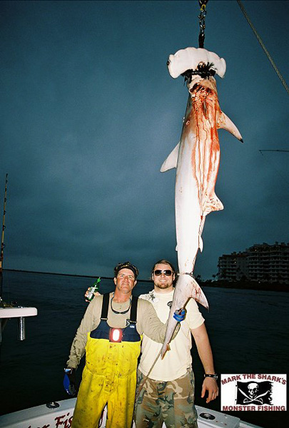 CHICAGO BEARS DUSTY DVORACEK and GOLDEN HAMMERHEAD and TIM