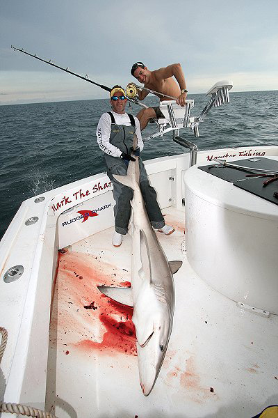 CUBAN NIGHT SHARK RELEASE