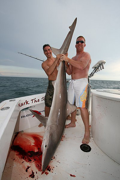 JOE AND JUNIOR WITH RARE NIGHT SHARK BEFORE RELEASE