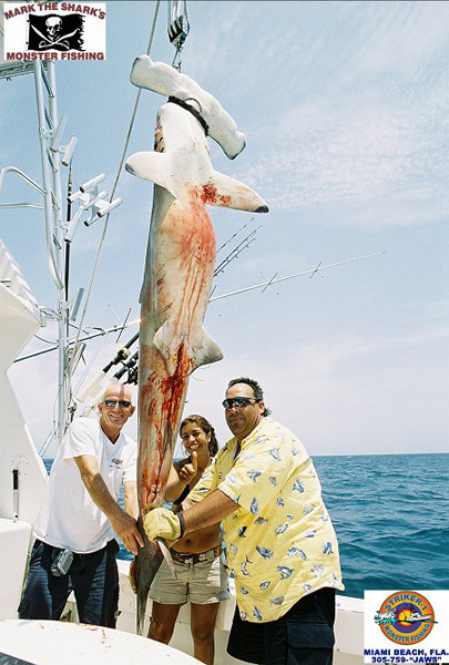 KELLEY MONSTER HAMMERHEAD