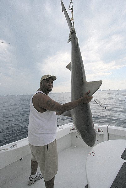 LEROY JONES REEF SHARK