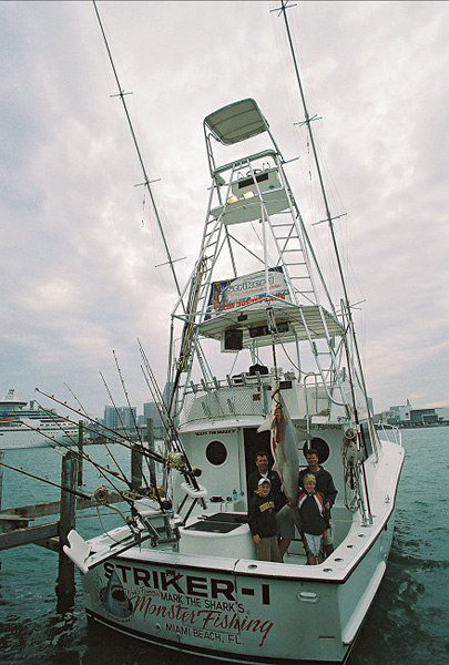 MIAMI SKYLINE AND HAMMERHEAD