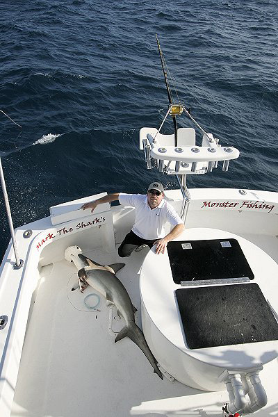 NICE TROPHY HAMMERHEAD