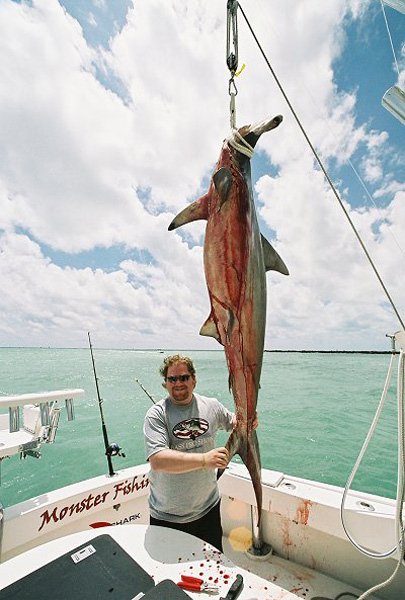 TUCHINSKY HAMMERHEAD