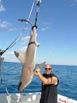 DALLAS NASH SANDBAR SHARK