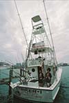 MIAMI SKYLINE AND HAMMERHEAD