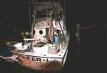 PAUL AND MONSTER BULL SHARK AT DOCK