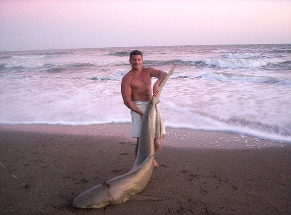 ARGENTINS SHARK