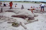 sharksandcastle1