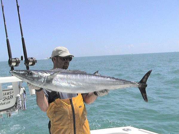 MONSTER WAHOO