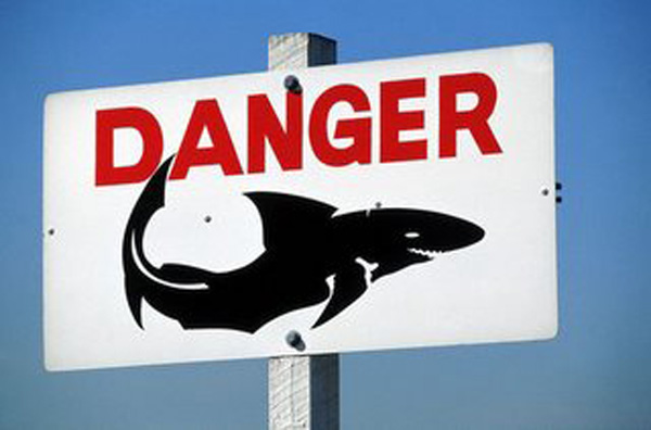 shark sign-111