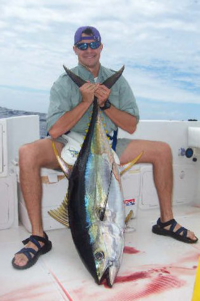 yellowfin23