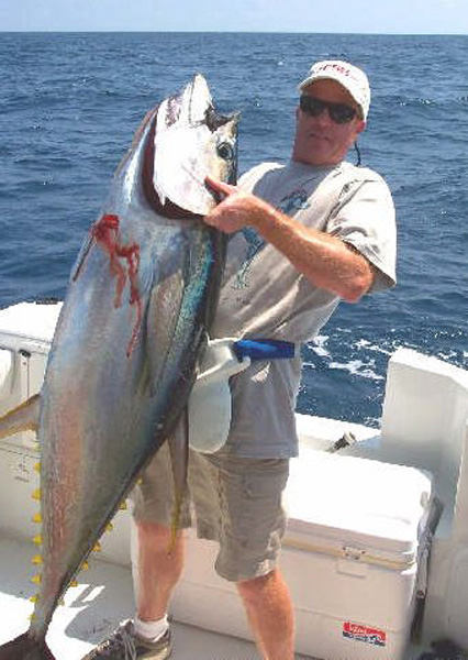 yellowfin233