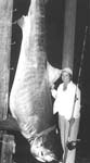 largestfish