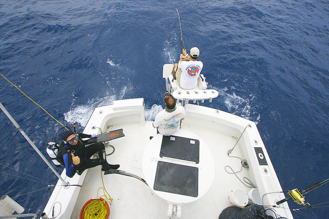 Underwater Fishing Video Available