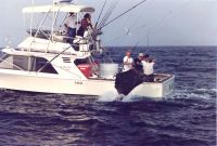 bom_bom_action_sailfish_with_THE_SHARK_HUNTER.jpg