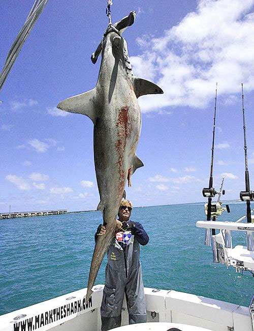 Miami Charter Fishing, Fort Lauderdale Charter Fishing, Miami Beach  Fishing Charter Boat, Deep Sea Fishing