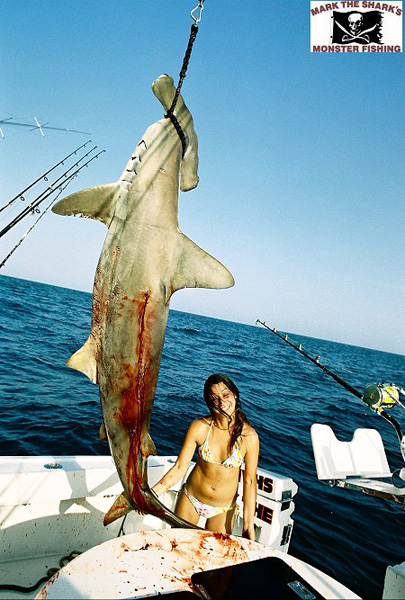 HOOTER GIRL MINCHY with BIG HAMMERHEAD