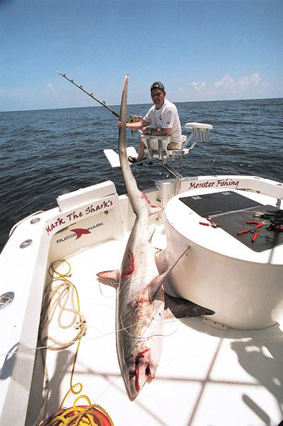 DAVE AND THRESHER SHARK