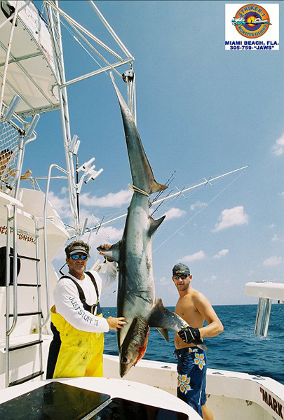 DOCKSIDE NET