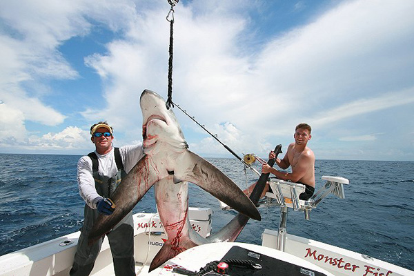 MARINE DANNY L WITH BIG THRESHER BEFORE RELEASE