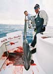 HANSON LONGTAIL OFF MIAMI BEACH