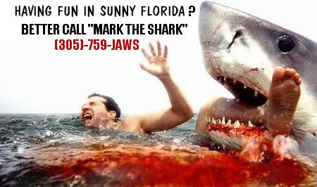 Shark fishing charters - Miami beach