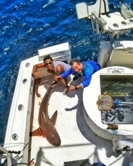 normal Resized Screenshot 20200421-075623 Video Player-011