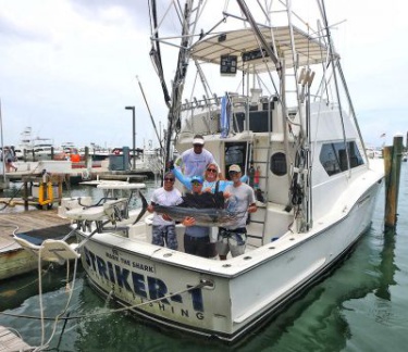 normal dock sail-011