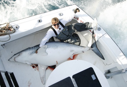 MARK THE SHARK and FATTY MAKO