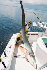 MARK THE SHARK AND  THRESHER-487